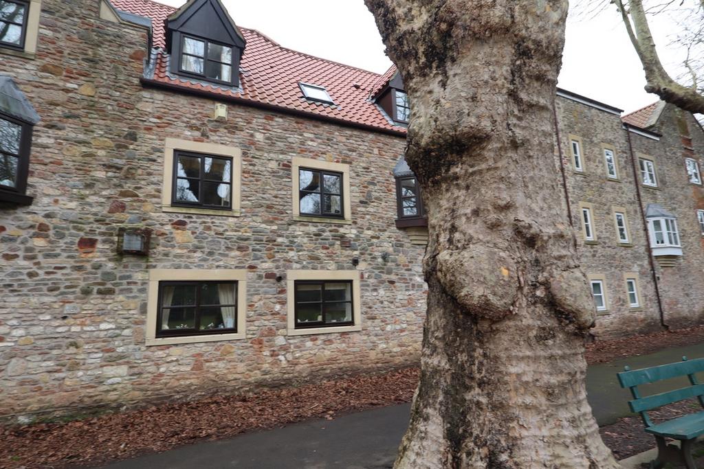 Rear Elevation