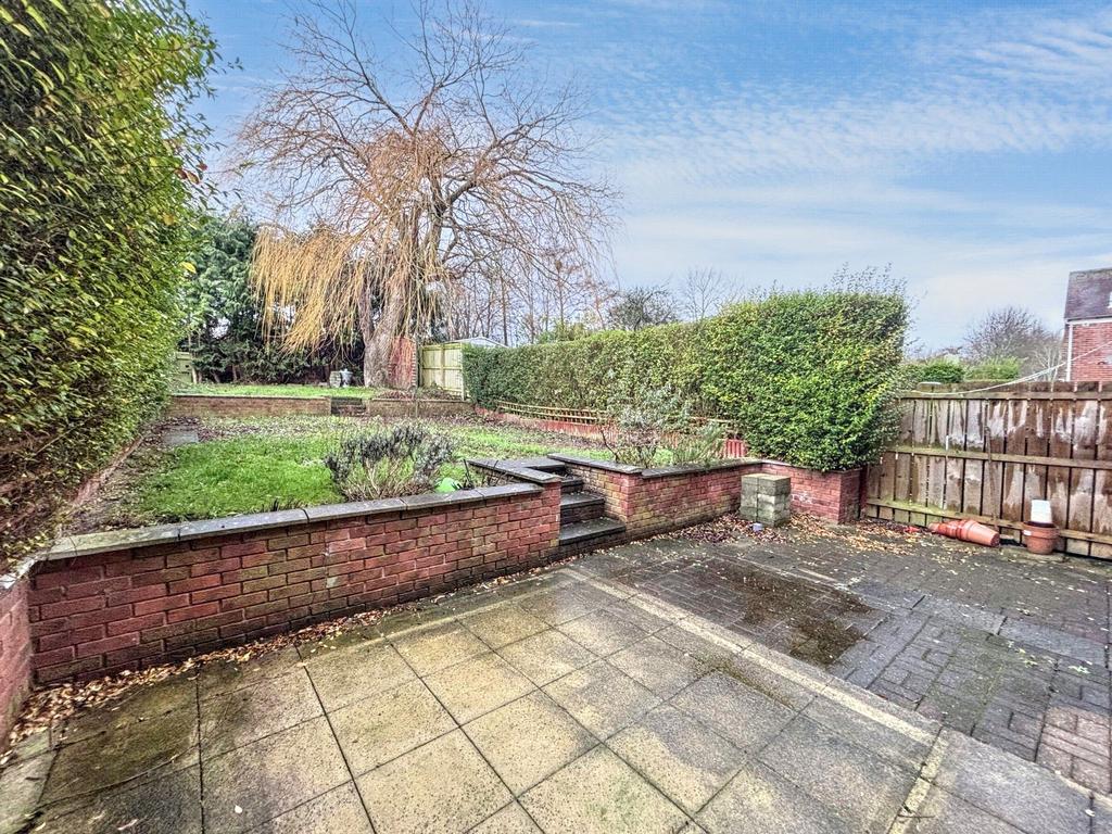 Back Garden