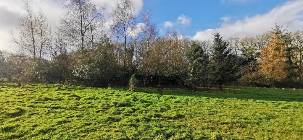 Paddock - Wooded Area