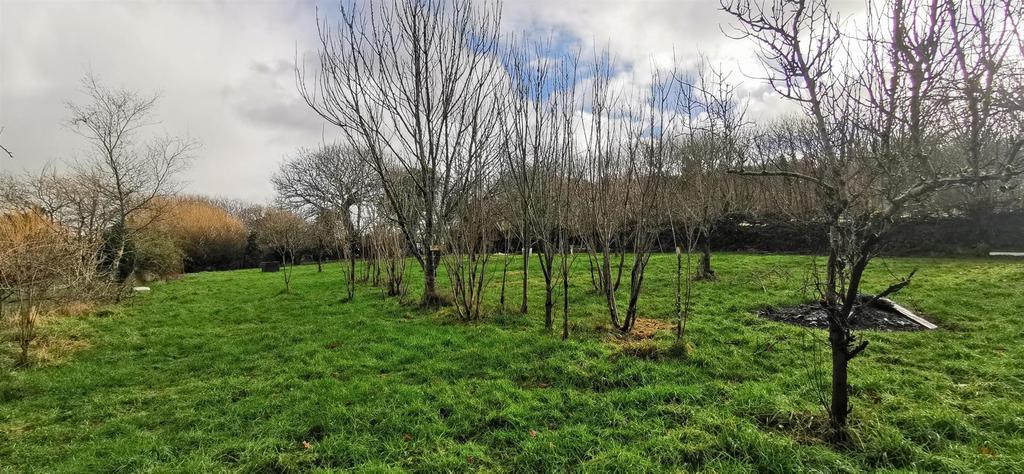 Orchard