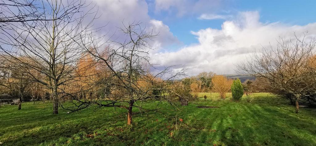 Orchard