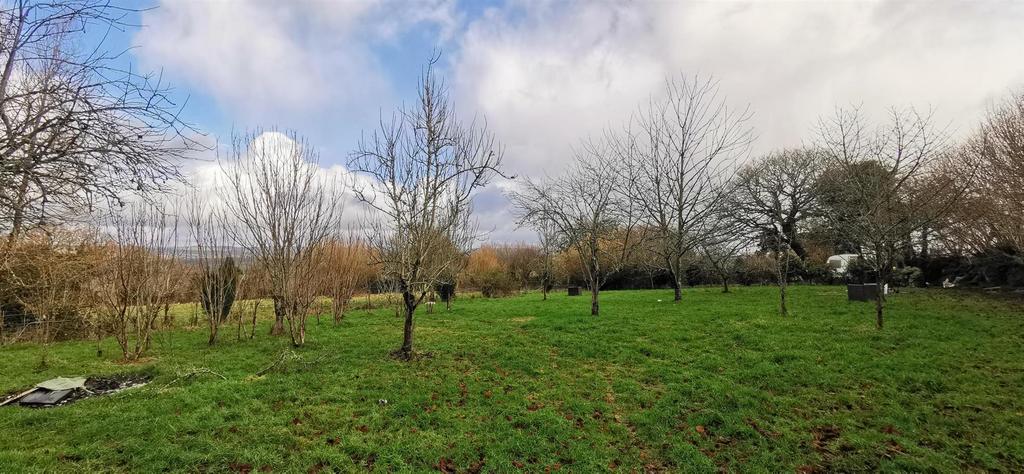 Orchard