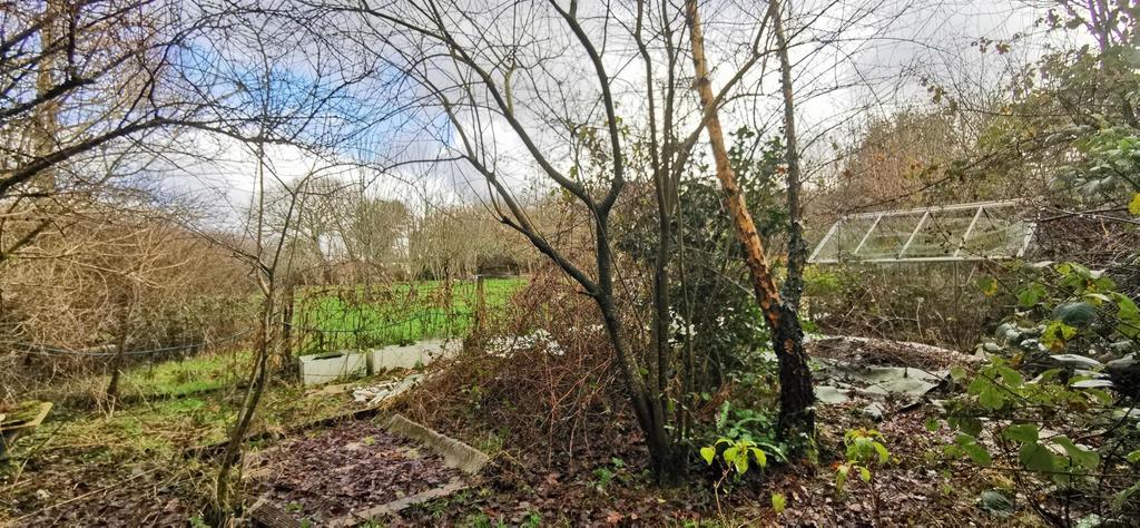 Fruit and Vegetable Patch 2