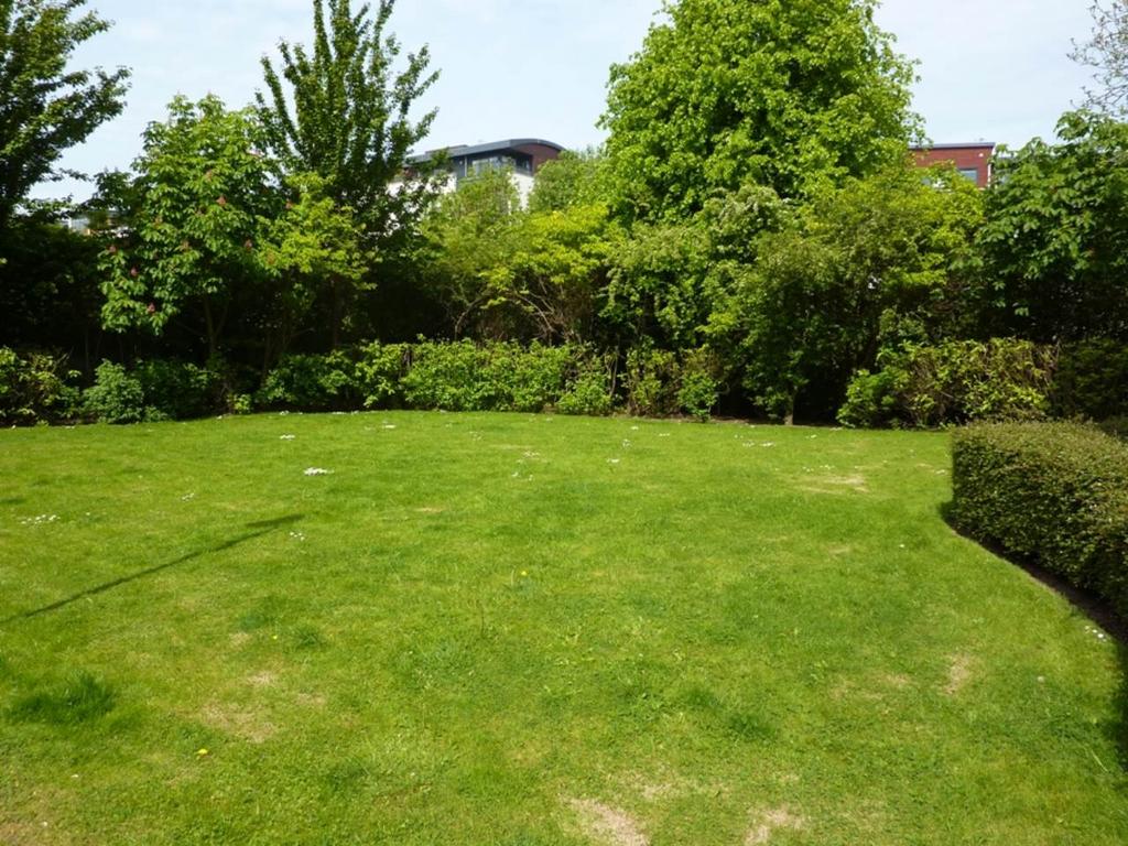 Shared garden 0