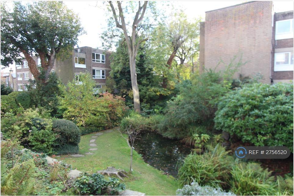 Shared Gardens
