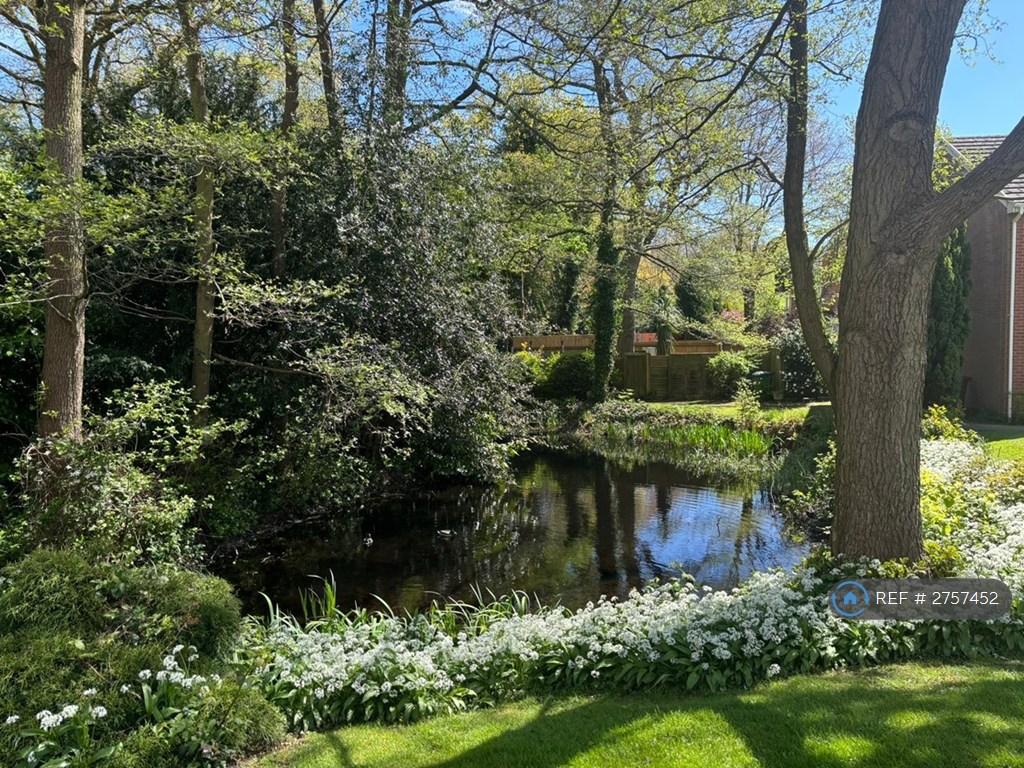Communal Pond