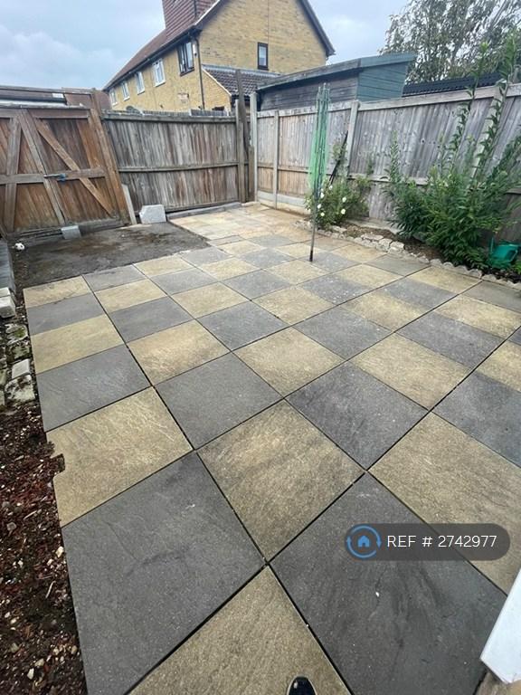 Back Garden