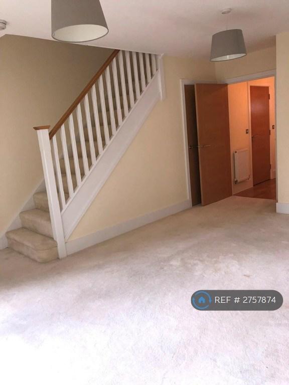 Main Living Area