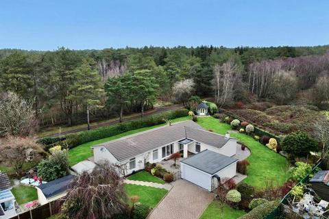 undefined, Ashley Park, Ashley Heath, BH24