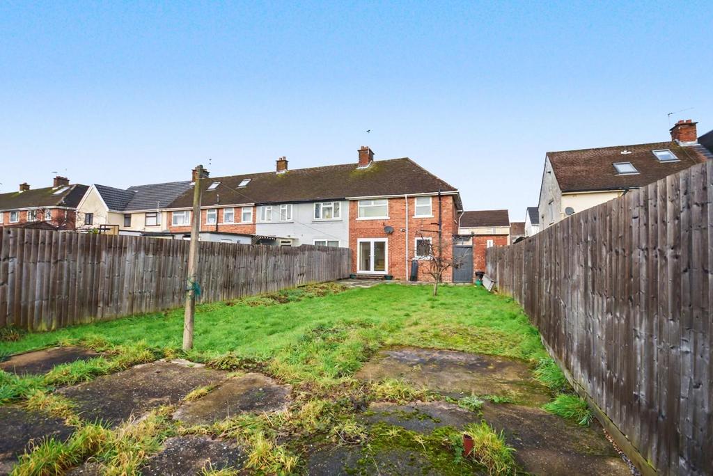 DSC 0195.jpeg