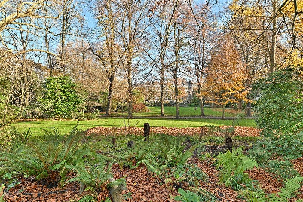 Communal Gardens