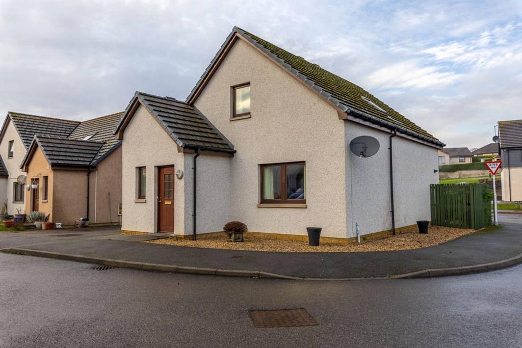 MFL6245282 475.jpg