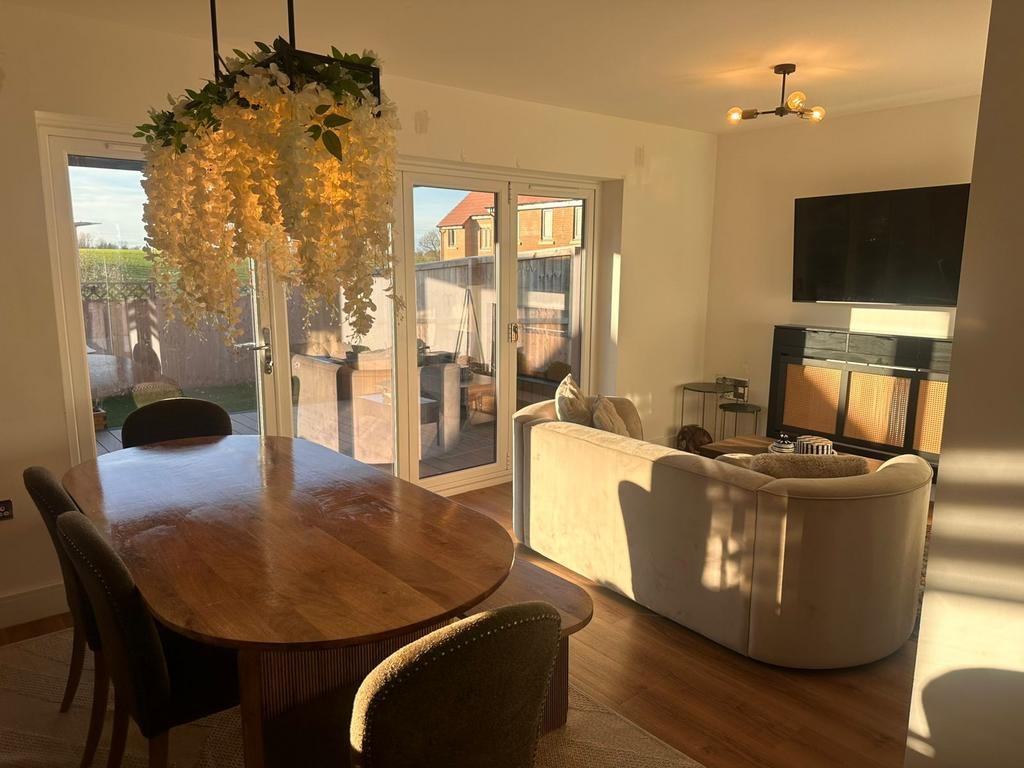 Kitchen / Living  Area