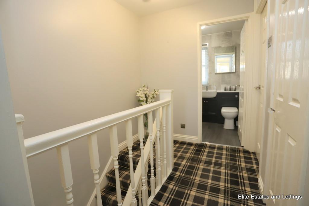 17 img 1641