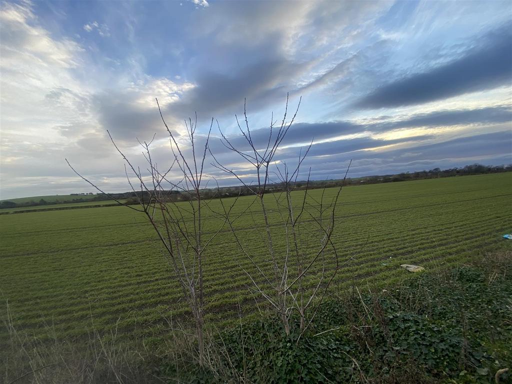 IMG 6908.jpeg