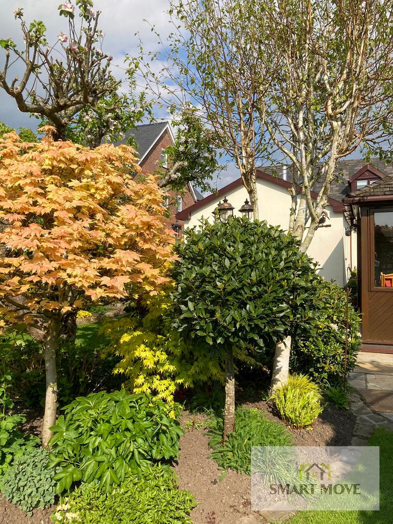 Spring Garden...