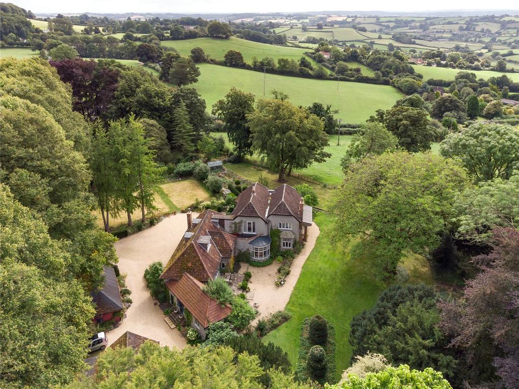 Aerial View 2