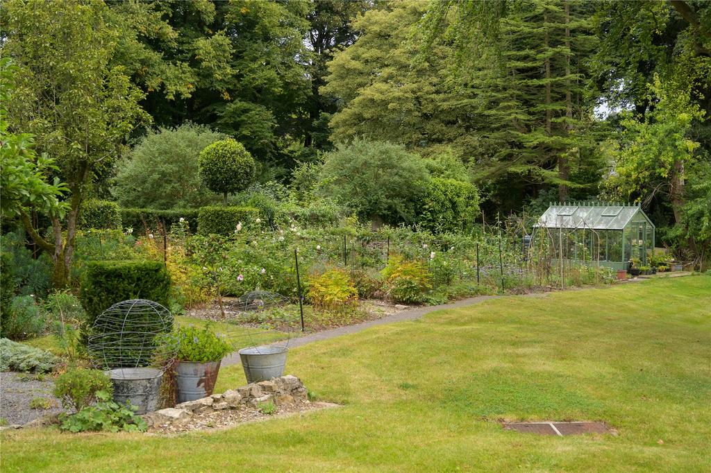 Vegetable Patch