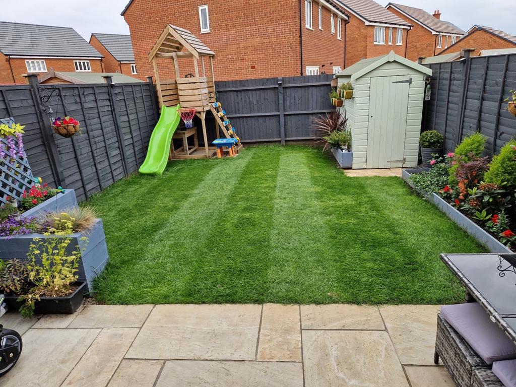 Summer Garden Photo