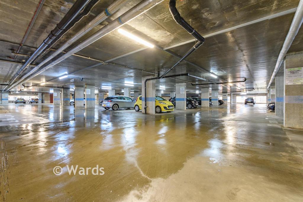 Driveway/Parking