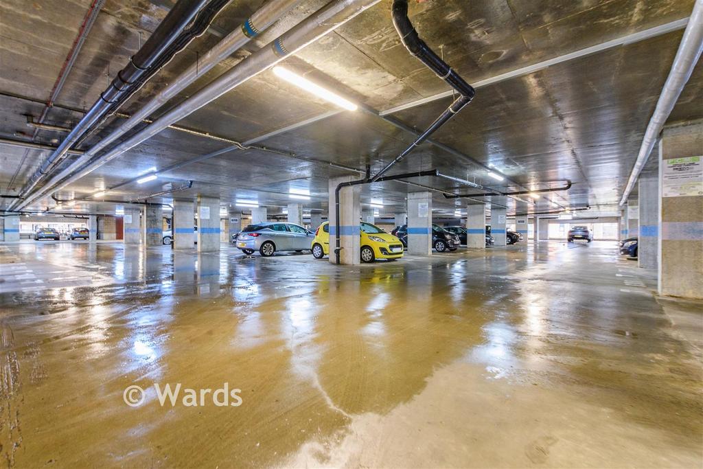 Driveway/Parking