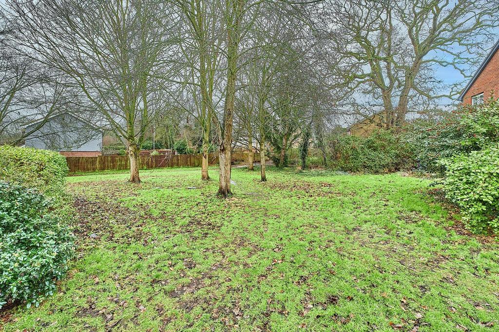DSC 1804.jpg