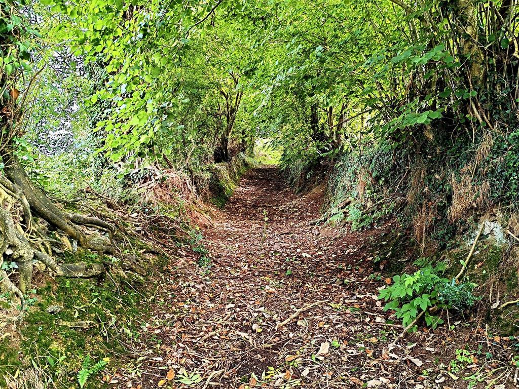 Track up to top Land and Orchards