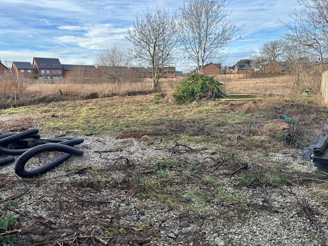 Site
