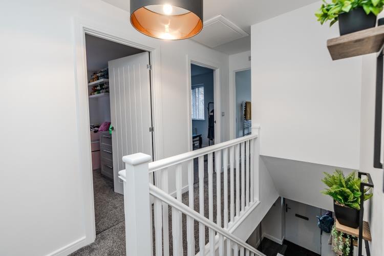 J.lan
