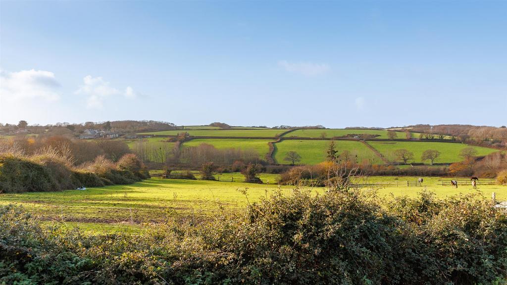 Local Views from Garden