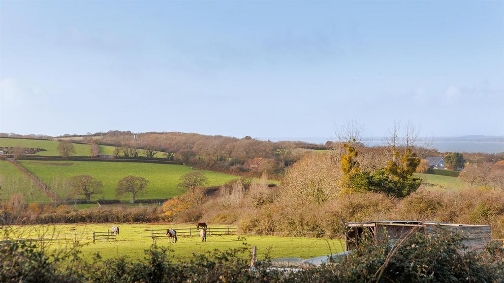 Local Views from Garden
