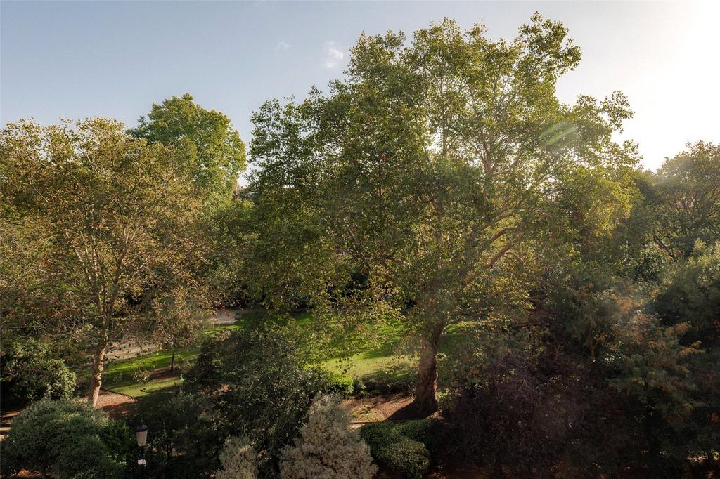 Communal Garden View