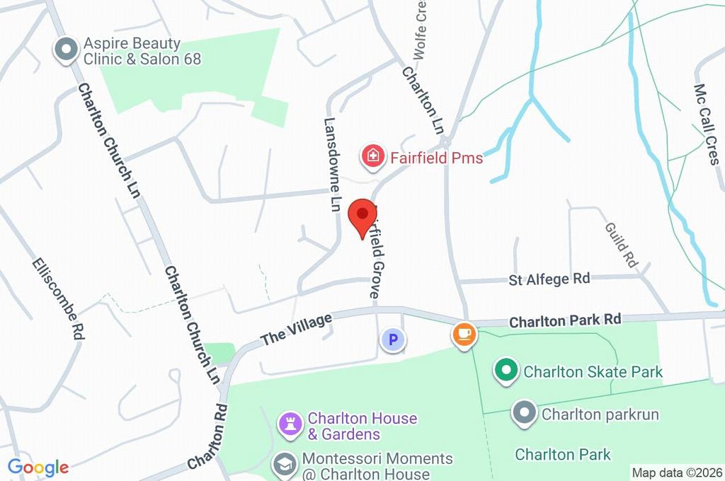 Google Maps Image