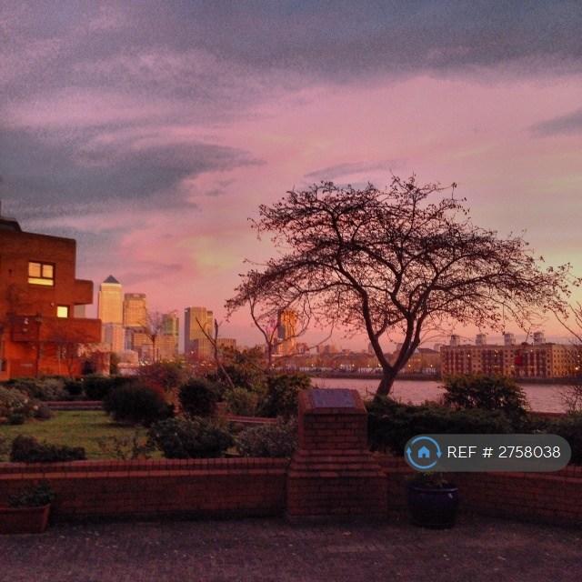 Shared Garden