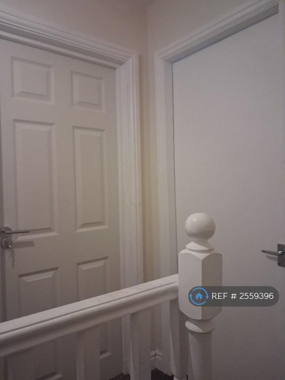 Hallways Doors