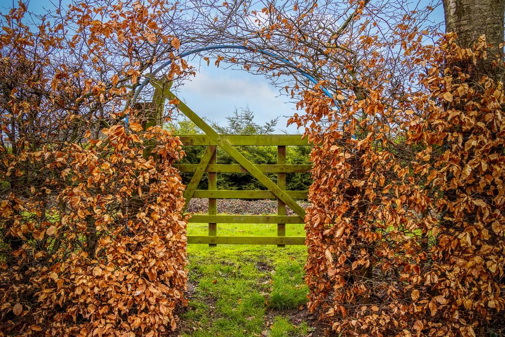 25 Kingfisher Drive (Surfleet)-10.jpg