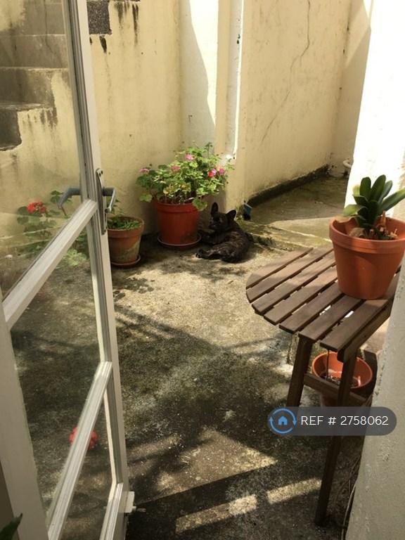 Cute Private Area