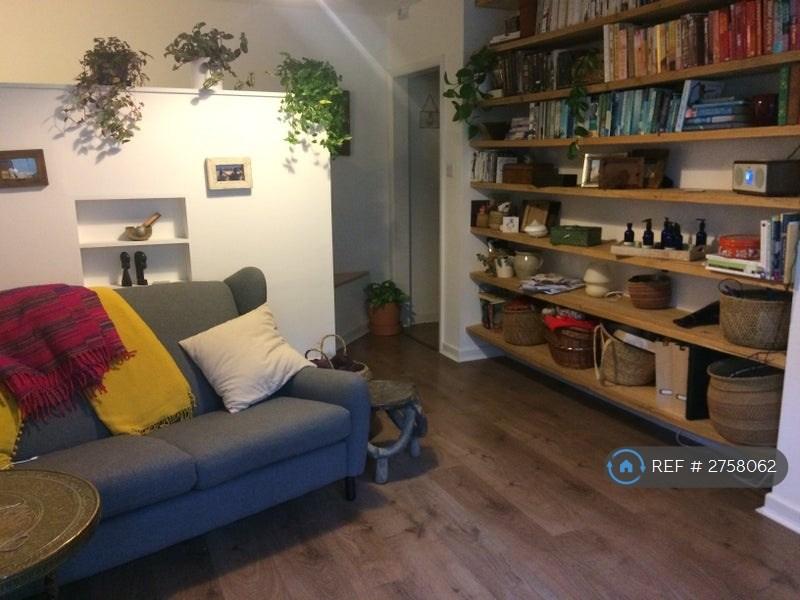 Living Area, Raised Bed