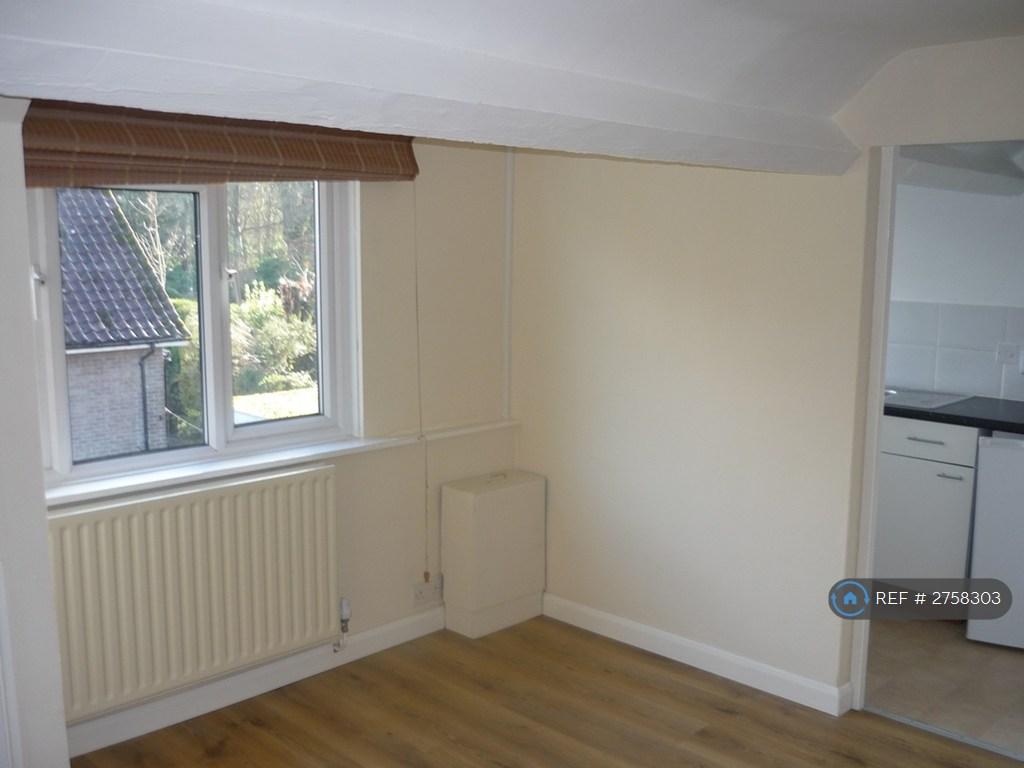 Living Room 1