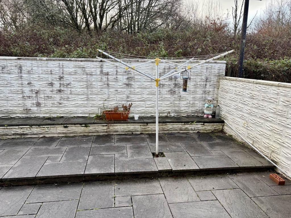 Rear garden 1