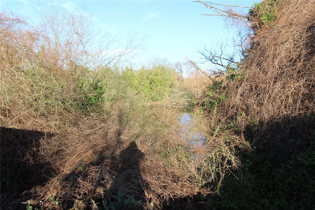 Picture No. 14