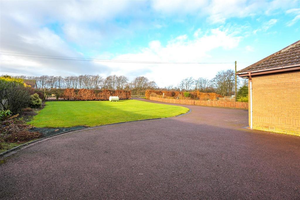 5 - driveway.jpg