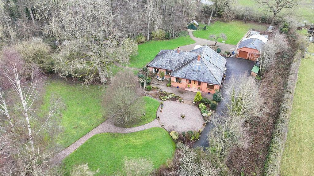 Aerial View from the Front