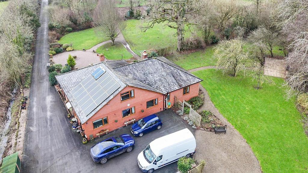 Aerial View from the Rear