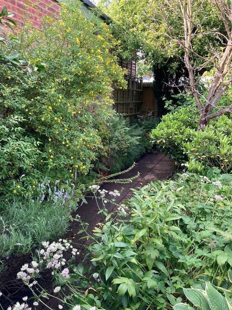 Garden 3.jpg