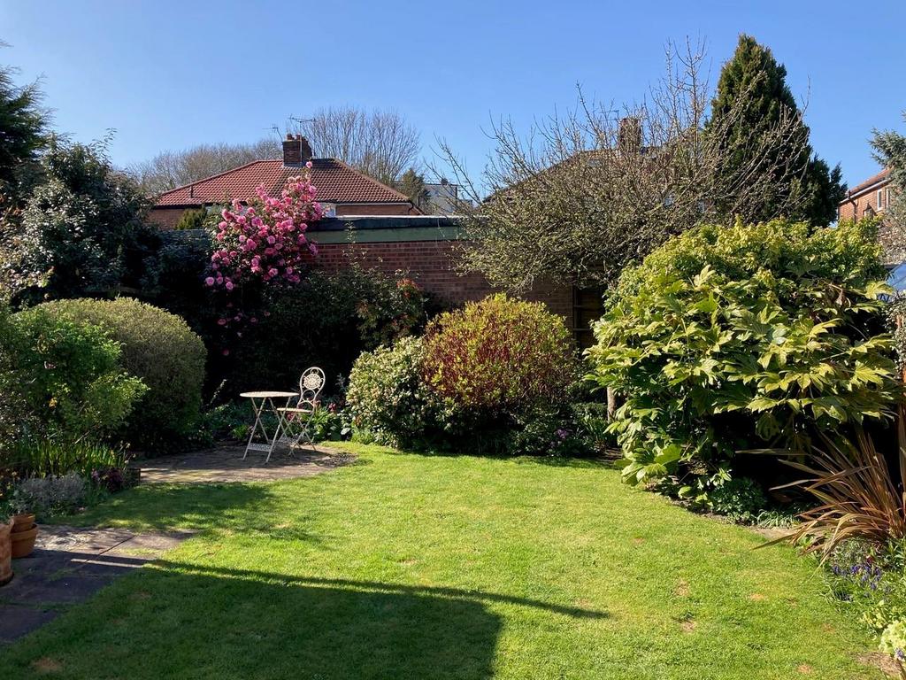 Garden 2.jpg