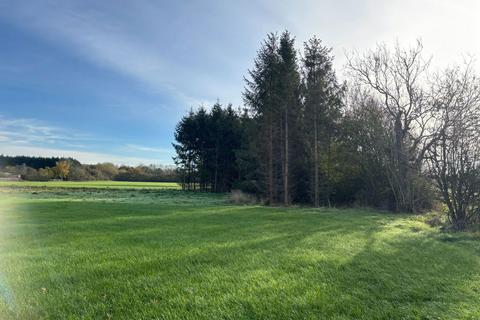 undefined, 3.43 Acre Grass Paddock with Woodland Copse at Malton Road, York
