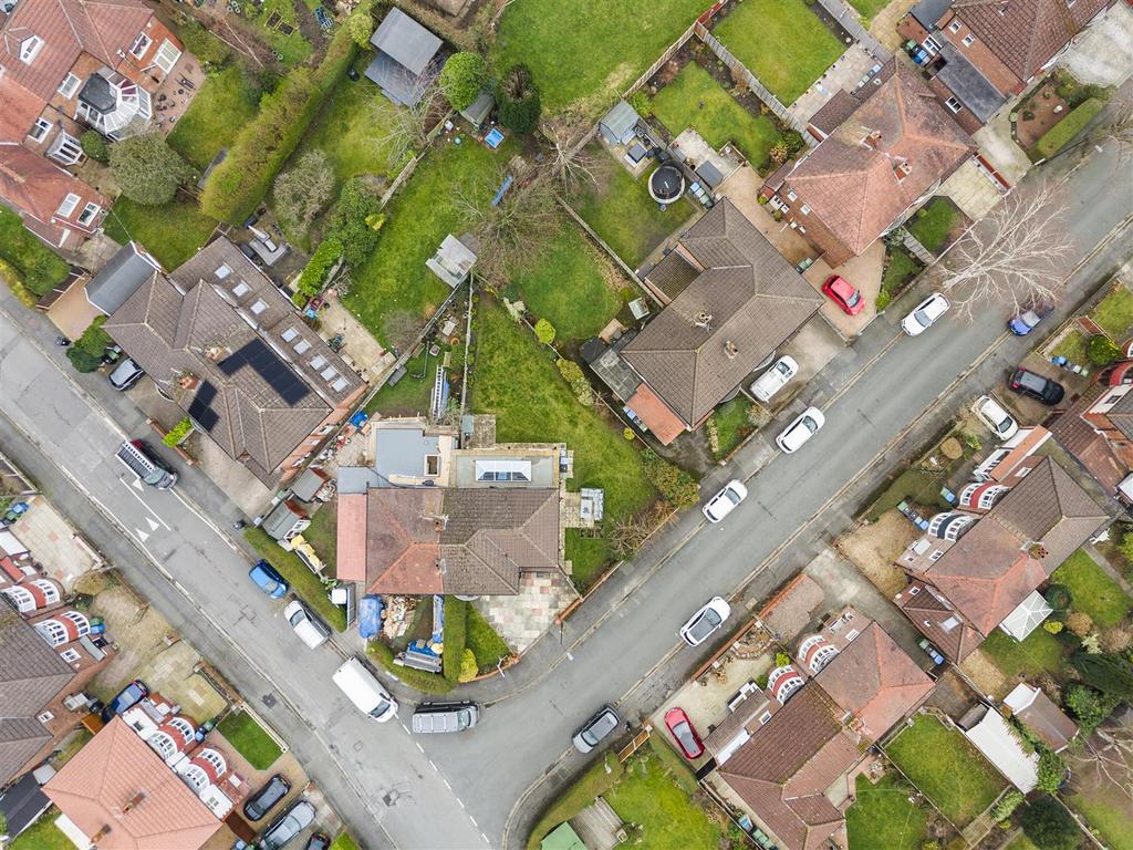 DJI 20260210135406 0103 D.jpg
