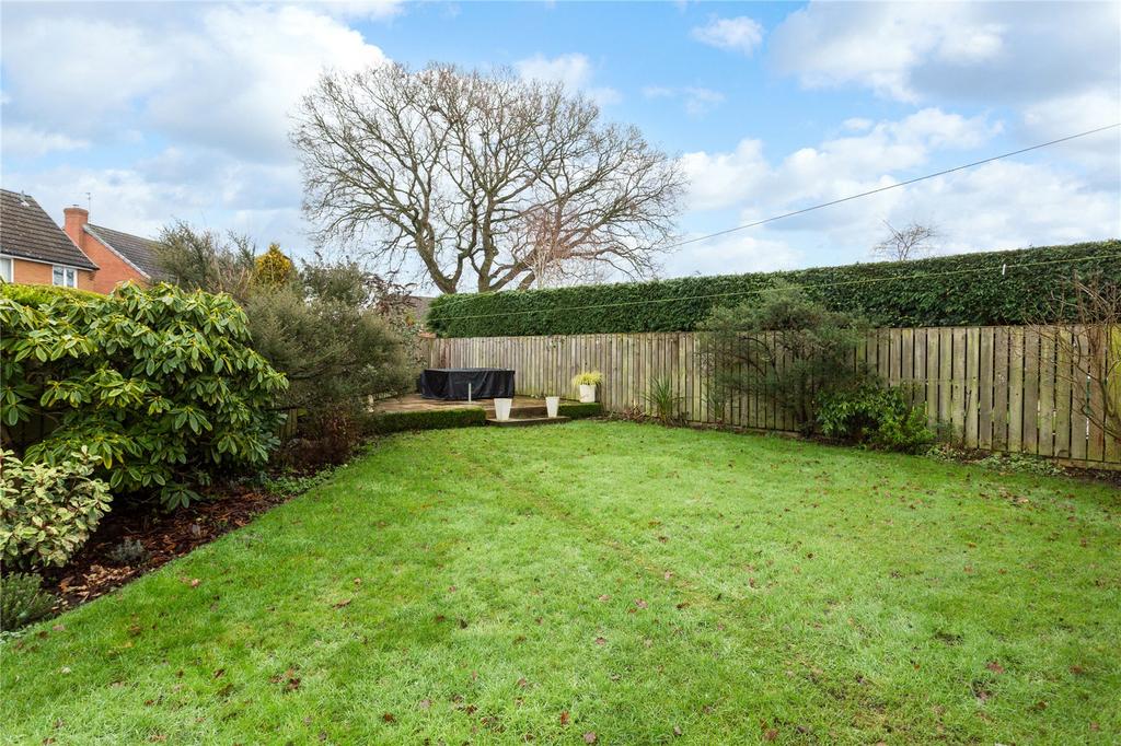 Photos