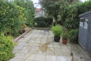 Patio Area